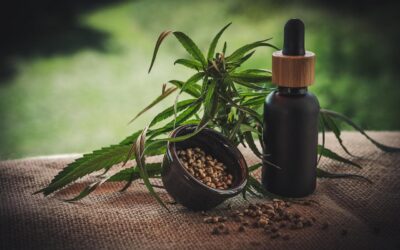 Aceite de CBD, el producto natural que tu piel necesita