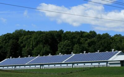 Energía solar como alternativa más eficiente para empresas